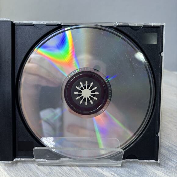 No Need to Argue" by the Irish rock band The Cranberries. 1994. No Back Inlay - Picture 4 of 4